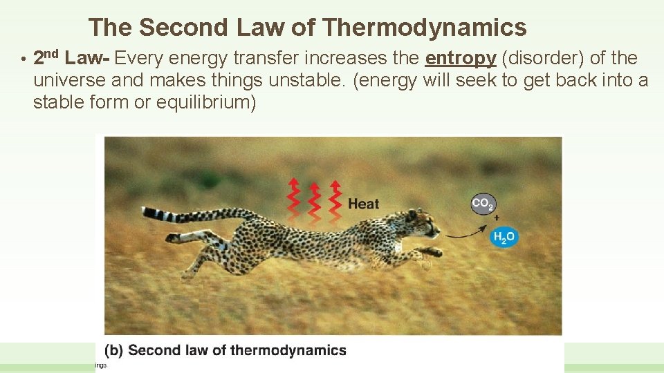The Second Law of Thermodynamics • 2 nd Law- Every energy transfer increases the