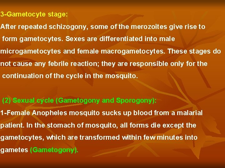 3 -Gametocyte stage: After repeated schizogony, some of the merozoites give rise to form