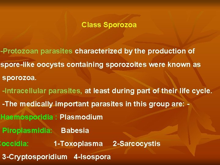 Class Sporozoa -Protozoan parasites characterized by the production of spore-like oocysts containing sporozoites were
