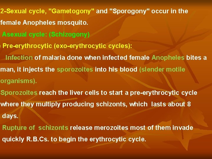 2 -Sexual cycle, "Gametogony" and "Sporogony" occur in the female Anopheles mosquito. Asexual cycle: