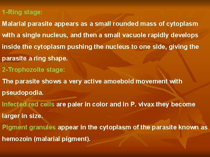 1 -Ring stage: Malarial parasite appears as a small rounded mass of cytoplasm with