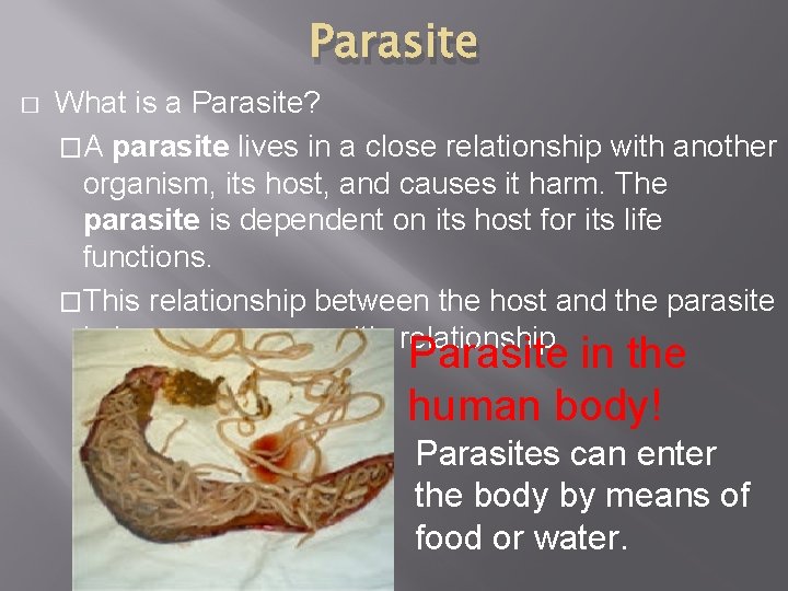 Parasite � What is a Parasite? �A parasite lives in a close relationship with