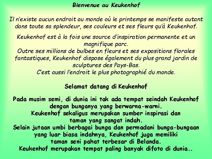 Bienvenue au Keukenhof Il n’existe aucun endroit au monde où le printemps se manifeste