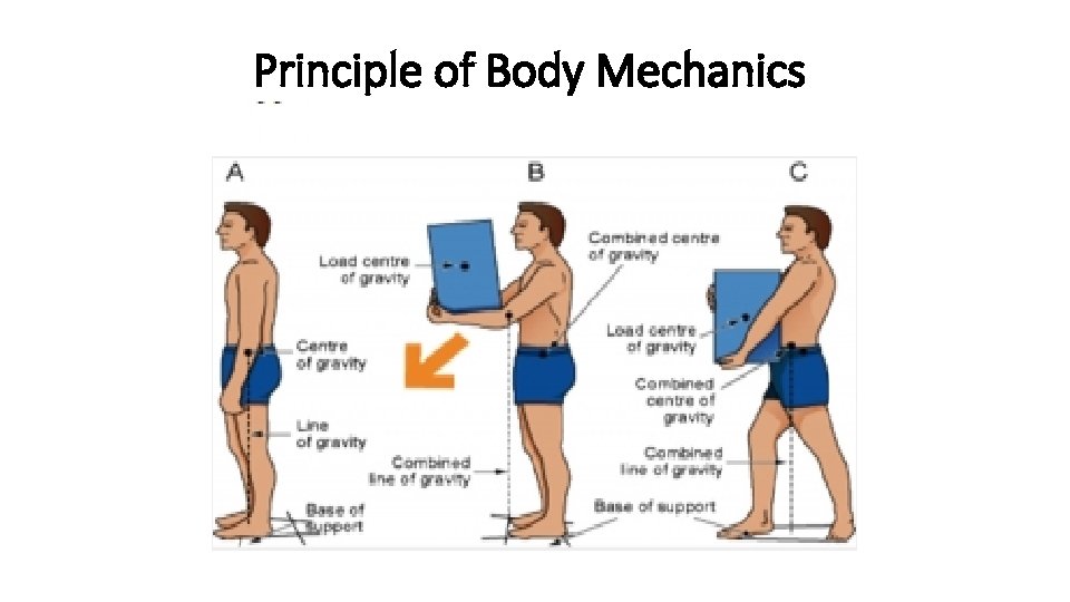 Body Mechanics Body Alignment Safe Patient Handling Positioning