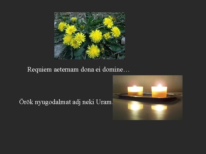 Requiem aeternam dona ei domine… Örök nyugodalmat adj neki Uram… 