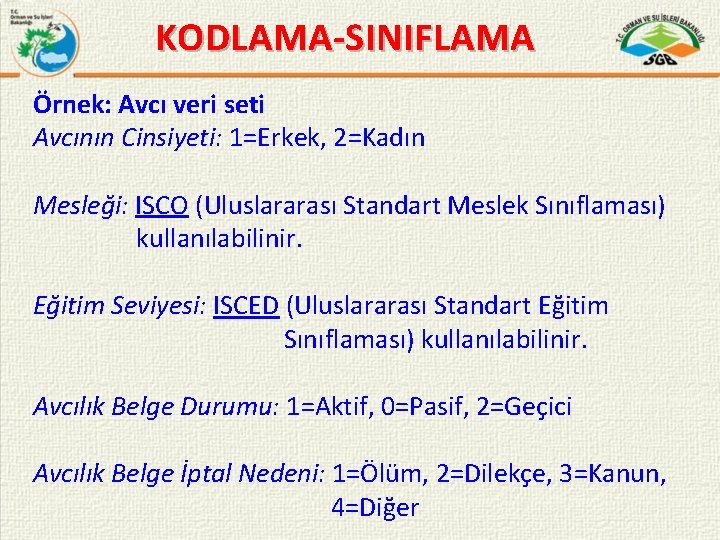 KODLAMA-SINIFLAMA Örnek: Avcı veri seti Avcının Cinsiyeti: 1=Erkek, 2=Kadın Mesleği: ISCO (Uluslararası Standart Meslek