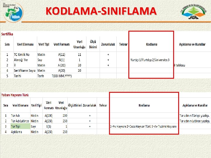 KODLAMA-SINIFLAMA 