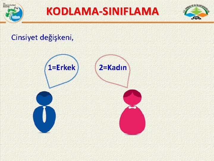 KODLAMA-SINIFLAMA Cinsiyet değişkeni, 1=Erkek 2=Kadın 