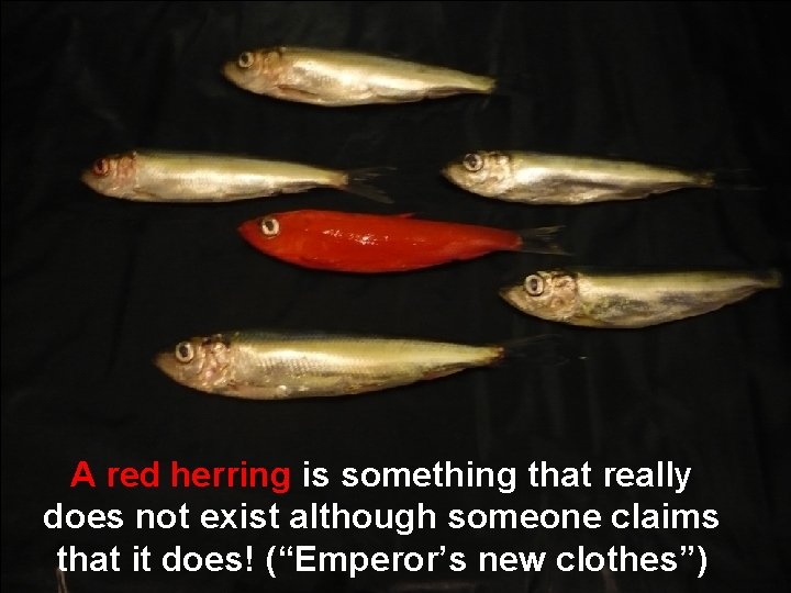 A red herring is something that really does not exist although someone claims that