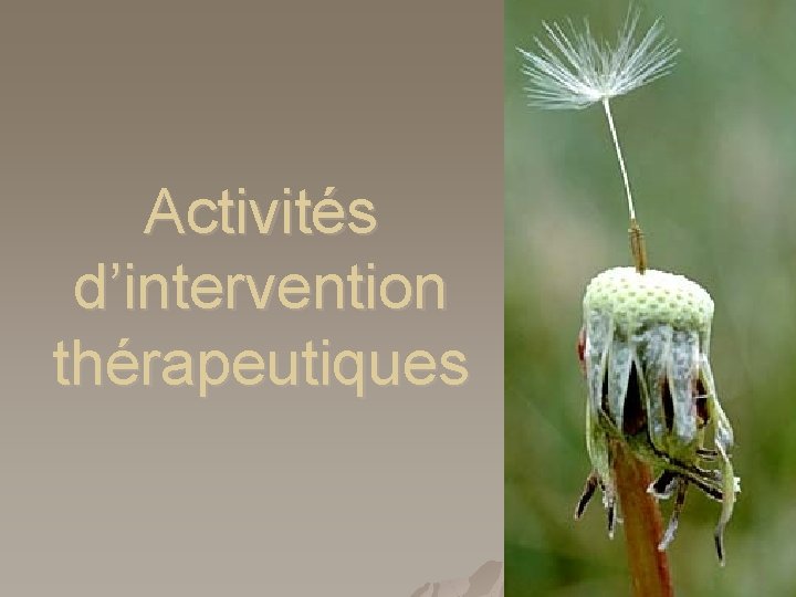 Activités d’intervention thérapeutiques 