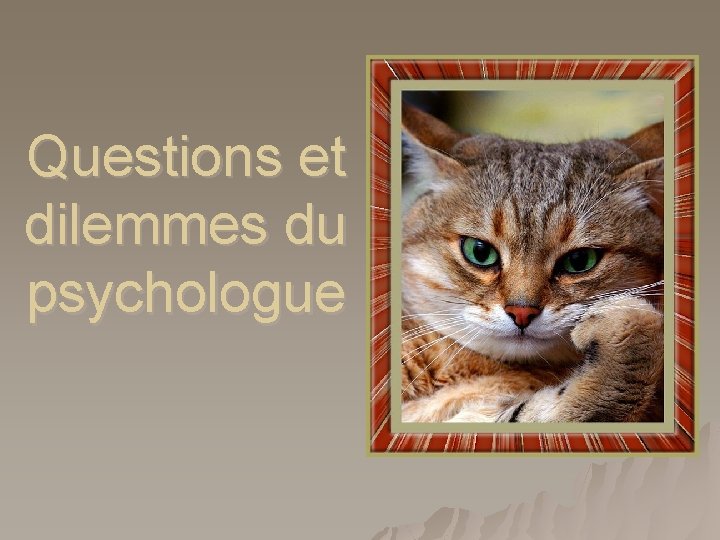 Questions et dilemmes du psychologue 