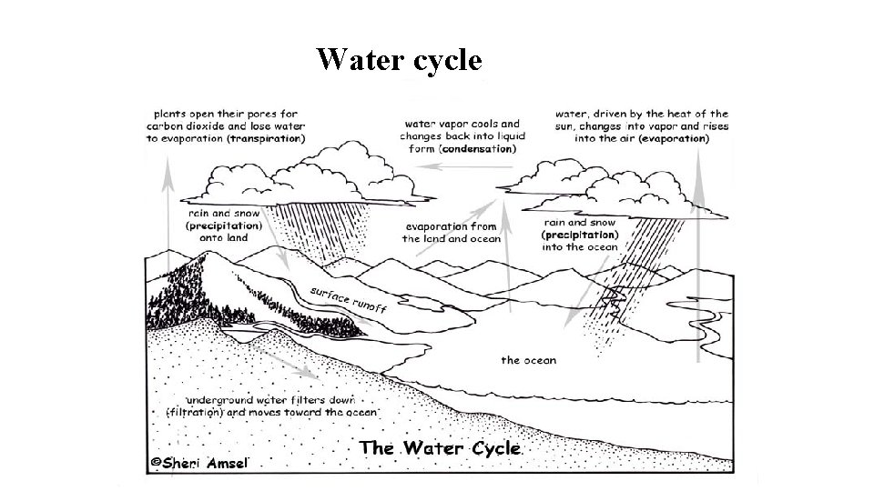 Water cycle 