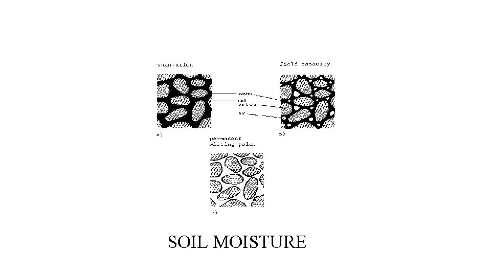 SOIL MOISTURE 