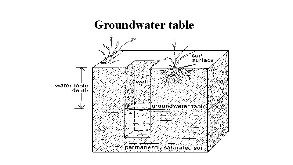 Groundwater table 
