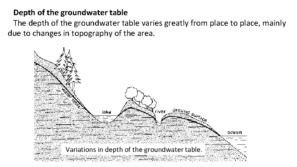 Depth of the groundwater table The depth of the groundwater table varies greatly from