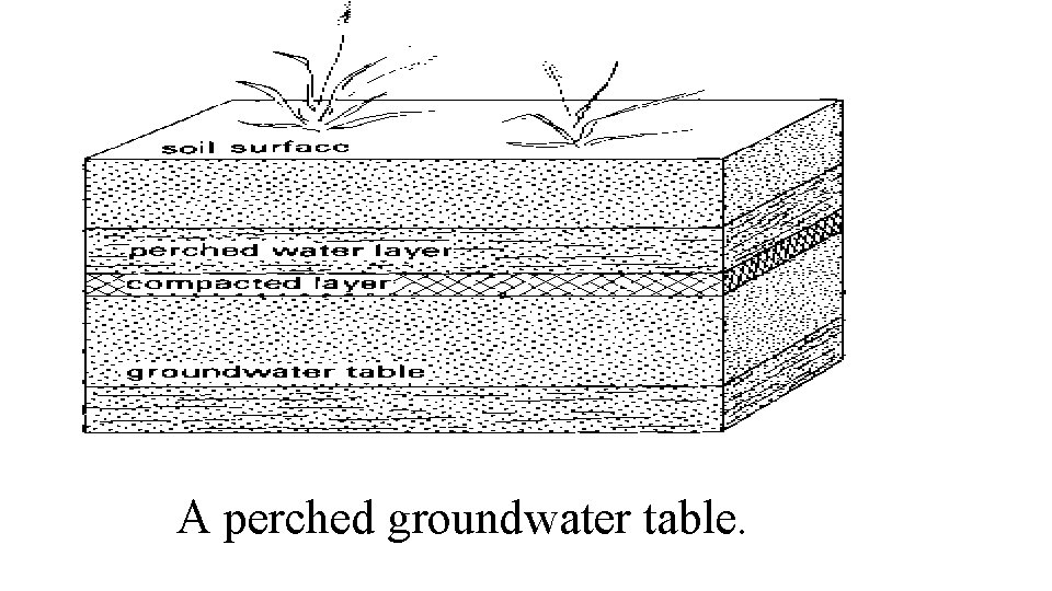 A perched groundwater table. 