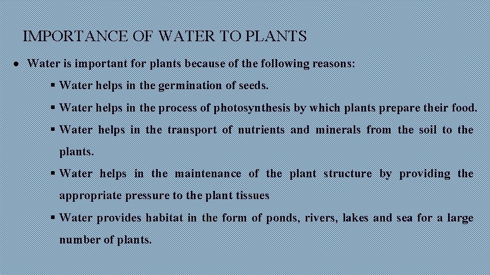 IMPORTANCE OF WATER TO PLANTS Water is important for plants because of the following