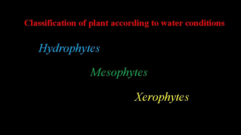 Classification of plant according to water conditions Hydrophytes Mesophytes Xerophytes 