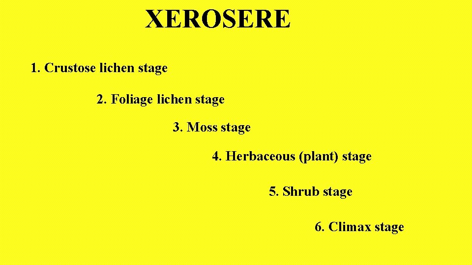 XEROSERE 1. Crustose lichen stage 2. Foliage lichen stage 3. Moss stage 4. Herbaceous