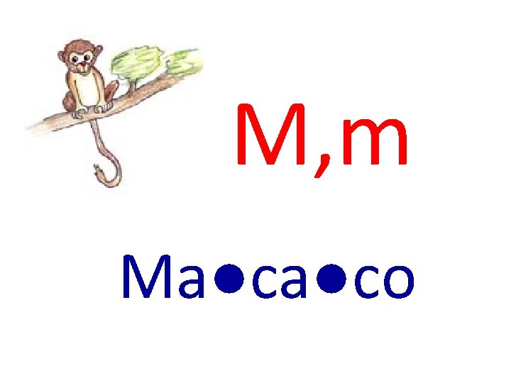 M, m Ma●ca●co 