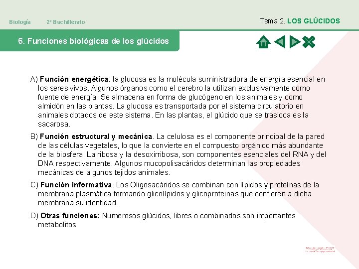 Biología 2º Bachillerato Tema 2. LOS GLÚCIDOS 6. Funciones biológicas de los glúcidos A)