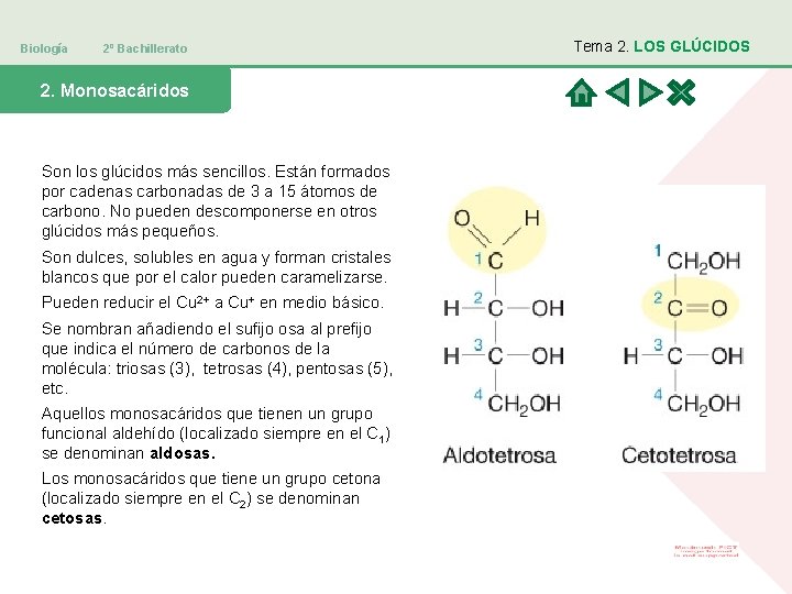 Biología 2º Bachillerato 2. Monosacáridos Son los glúcidos más sencillos. Están formados por cadenas