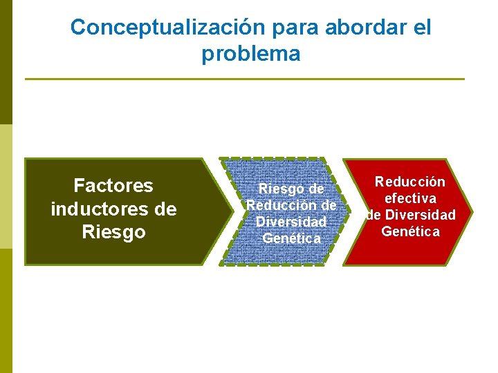 Conceptualización para abordar el problema Factores inductores de Riesgo de Reducción de Diversidad Genética