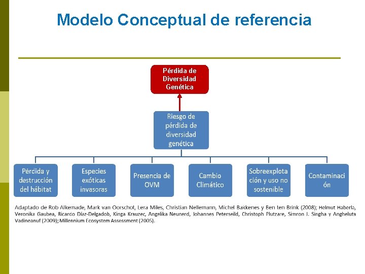 Modelo Conceptual de referencia Pérdida de Diversidad Genética 