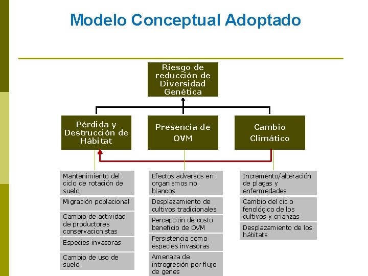 Modelo Conceptual Adoptado Riesgo de reducción de Diversidad Genética Pérdida y Destrucción de Hábitat