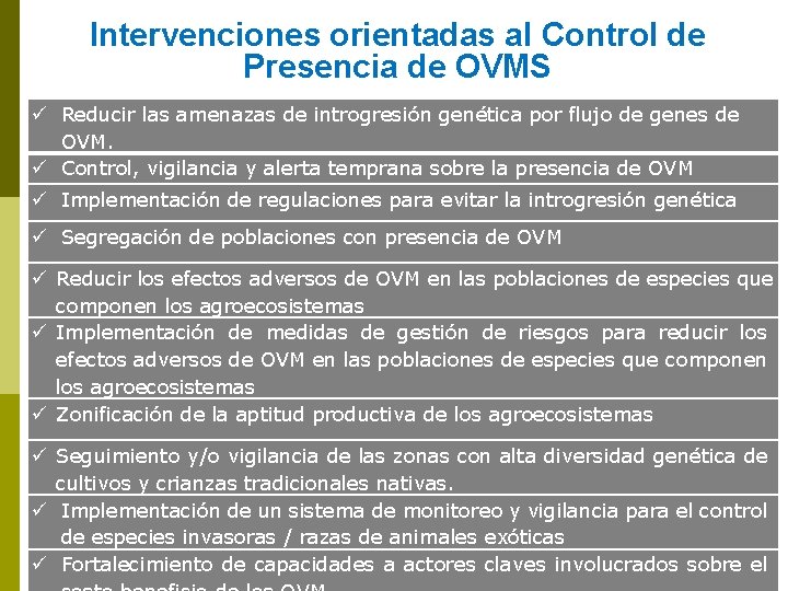 Intervenciones orientadas al Control de Presencia de OVMS ü Reducir las amenazas de introgresión