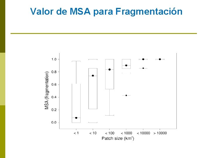 Valor de MSA para Fragmentación 