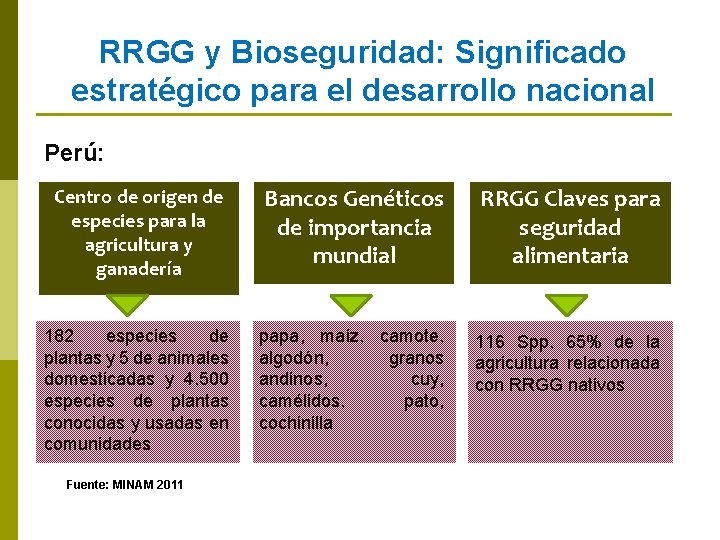 RRGG y Bioseguridad: Significado estratégico para el desarrollo nacional Perú: Centro de origen de