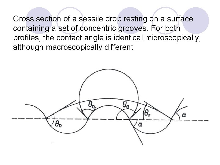 Cross section of a sessile drop resting on a surface containing a set of
