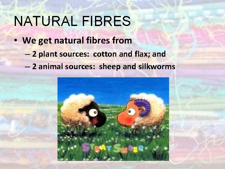 NATURAL FIBRES • We get natural fibres from – 2 plant sources: cotton and