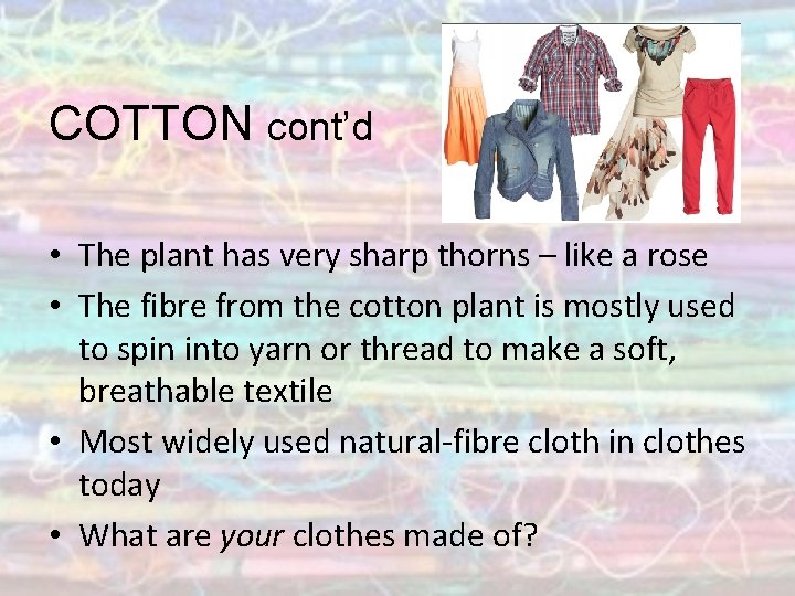 COTTON cont’d • The plant has very sharp thorns – like a rose •