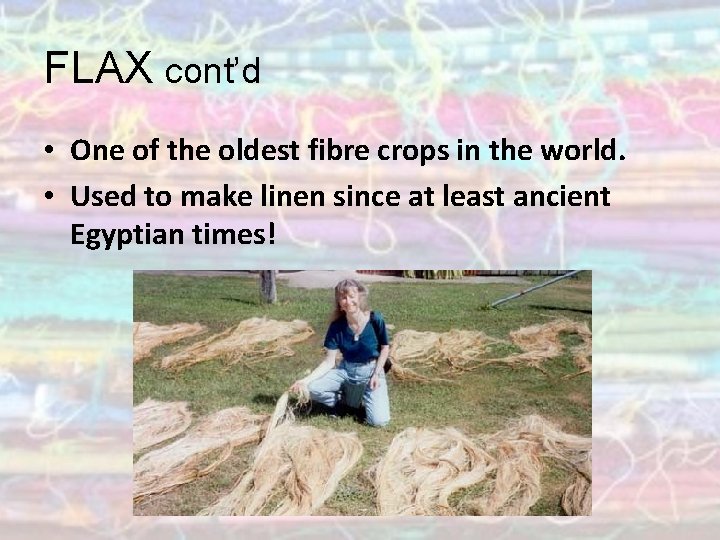 FLAX cont’d • One of the oldest fibre crops in the world. • Used