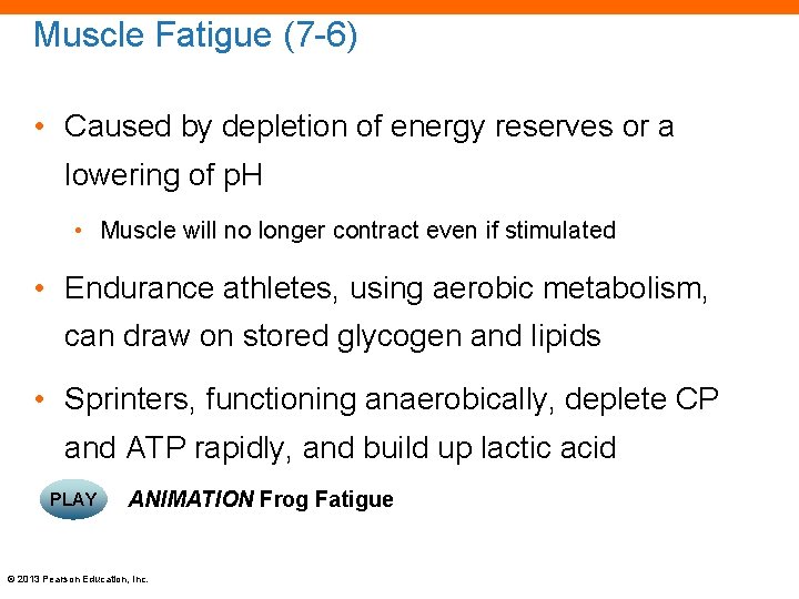 Muscle Fatigue (7 -6) • Caused by depletion of energy reserves or a lowering