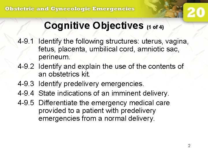 Cognitive Objectives (1 of 4) 4 -9. 1 Identify the following structures: uterus, vagina,