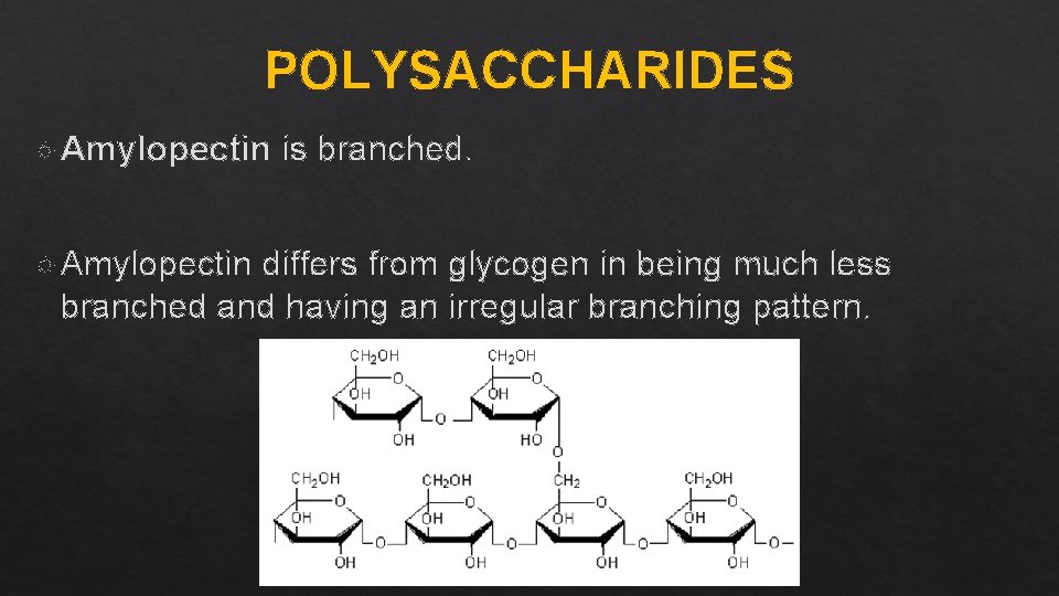 POLYSACCHARIDES Amylopectin is branched. differs from glycogen in being much less branched and having