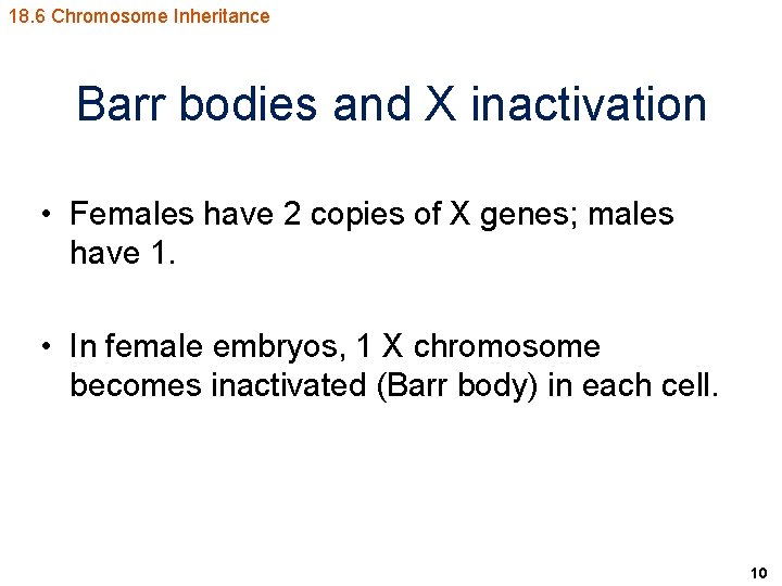 18. 6 Chromosome Inheritance Barr bodies and X inactivation • Females have 2 copies