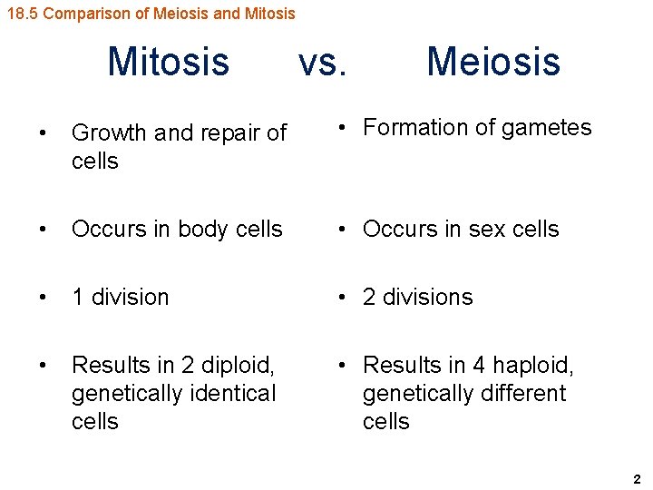 18. 5 Comparison of Meiosis and Mitosis vs. Meiosis • Growth and repair of