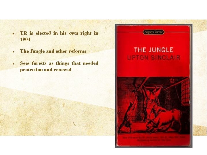 u u u TR is elected in his own right in 1904 The Jungle