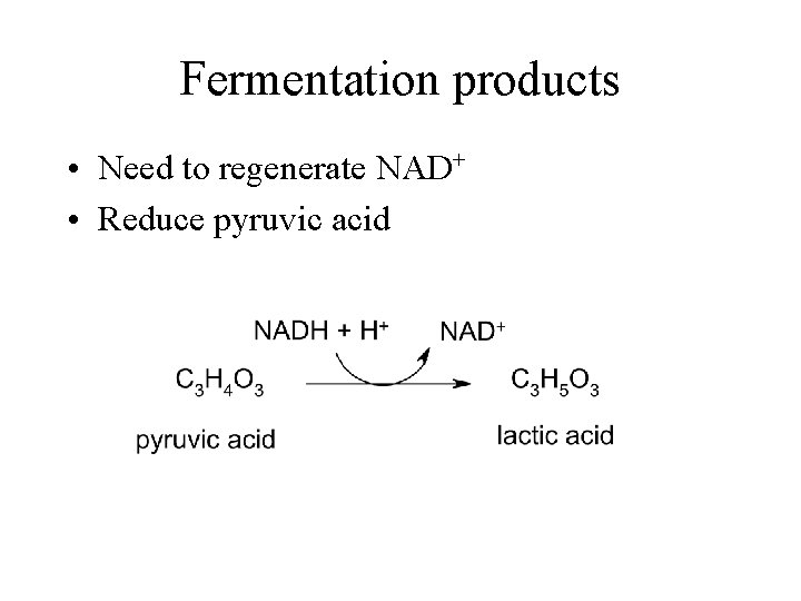 Fermentation products • Need to regenerate NAD+ • Reduce pyruvic acid 