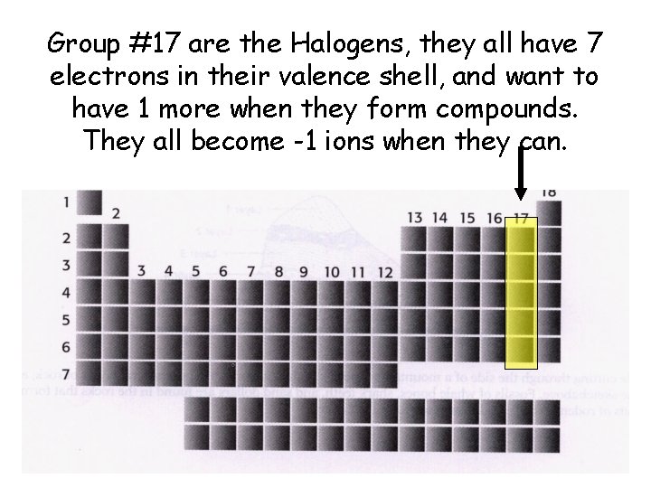 Group #17 are the Halogens, they all have 7 electrons in their valence shell,