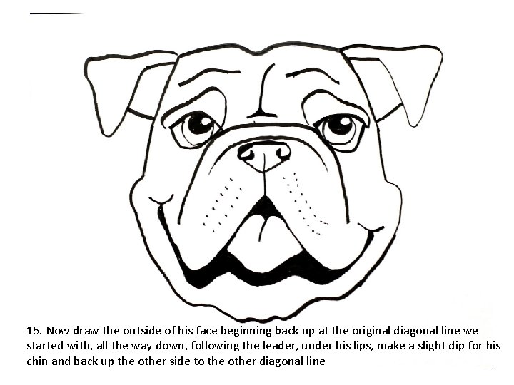 16. Now draw the outside of his face beginning back up at the original