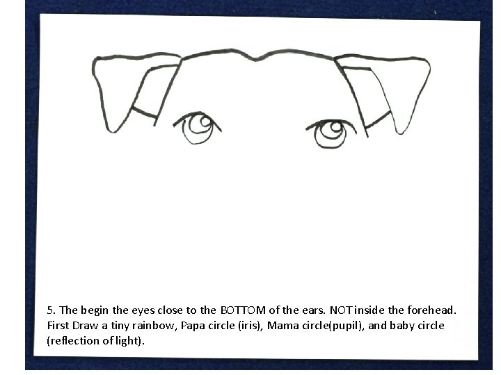 5. The begin the eyes close to the BOTTOM of the ears. NOT inside