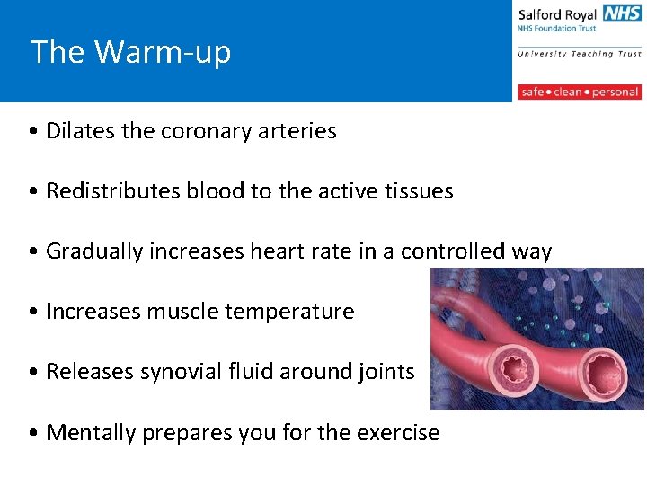 The Warm-up • Dilates the coronary arteries • Redistributes blood to the active tissues