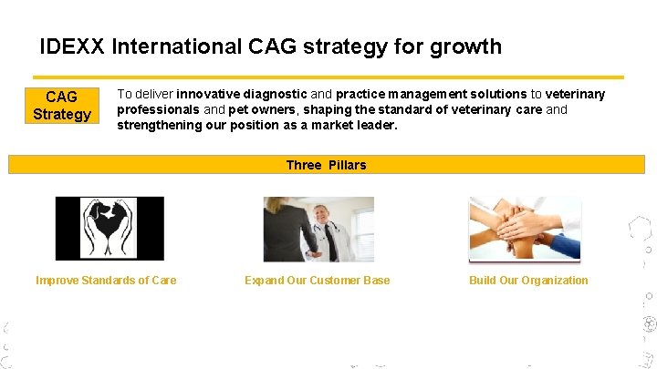 IDEXX International CAG strategy for growth CAG Strategy To deliver innovative diagnostic and practice