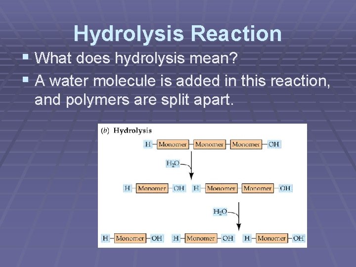 The Role of Carbon Carbon is the backbone