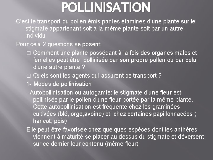 POLLINISATION C’est le transport du pollen émis par les étamines d’une plante sur le